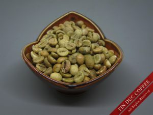 Robusta