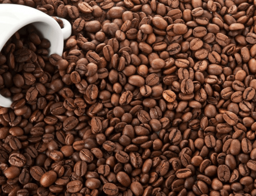 Tìm hiểu về cấu tạo quả cà phê …