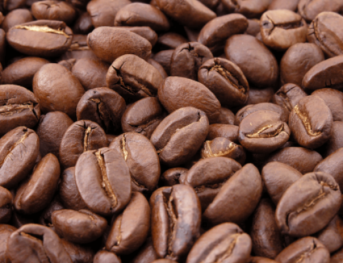 Thế giới hạt cà phê và cách phân biệt đơn giản nhất !!